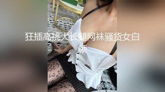 狂插高挑大长腿网袜骚货女白领