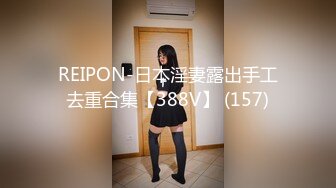 REIPON-日本淫妻露出手工去重合集【388V】 (157)