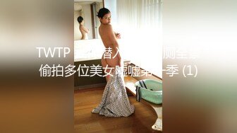 TWTP 大神潜入商场女厕全景偷拍多位美女嘘嘘第一季 (1)