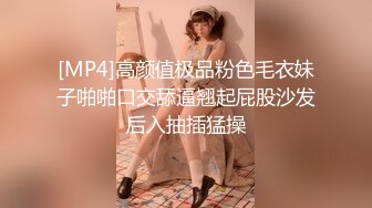 [MP4]高颜值极品粉色毛衣妹子啪啪口交舔逼翘起屁股沙发后入抽插猛操