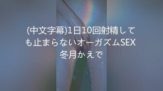 (中文字幕)1日10回射精しても止まらないオーガズムSEX 冬月かえで