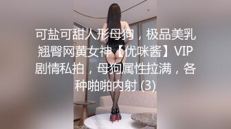 私房十一月最新??精品厕拍 重磅流出！极品双镜头 全景 特写 良家 少妇