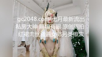 gc2048.com-七月最新流出私房大神 隔墙有眼 原创厕拍 红裙肉丝骚逼女郎另类擦穴