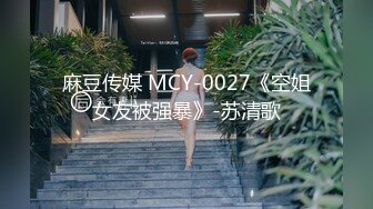 麻豆传媒 MCY-0027《空姐女友被强暴》-苏清歌