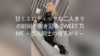 甘くエロティックな二人きりの时间を覗き见る SWEET TIME ～恋人同士の昼下がり～