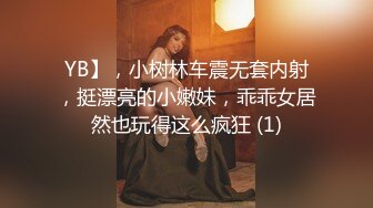 YB】，小树林车震无套内射，挺漂亮的小嫩妹，乖乖女居然也玩得这么疯狂 (1)