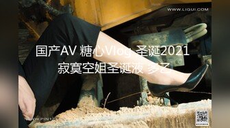 国产AV 糖心Vlog 圣诞2021 寂寞空姐圣诞液 多乙