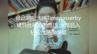 极品啪啪大神Timepasserby精品丝袜啪啪甄选 大屌后入钻肉丝怒操爆菊